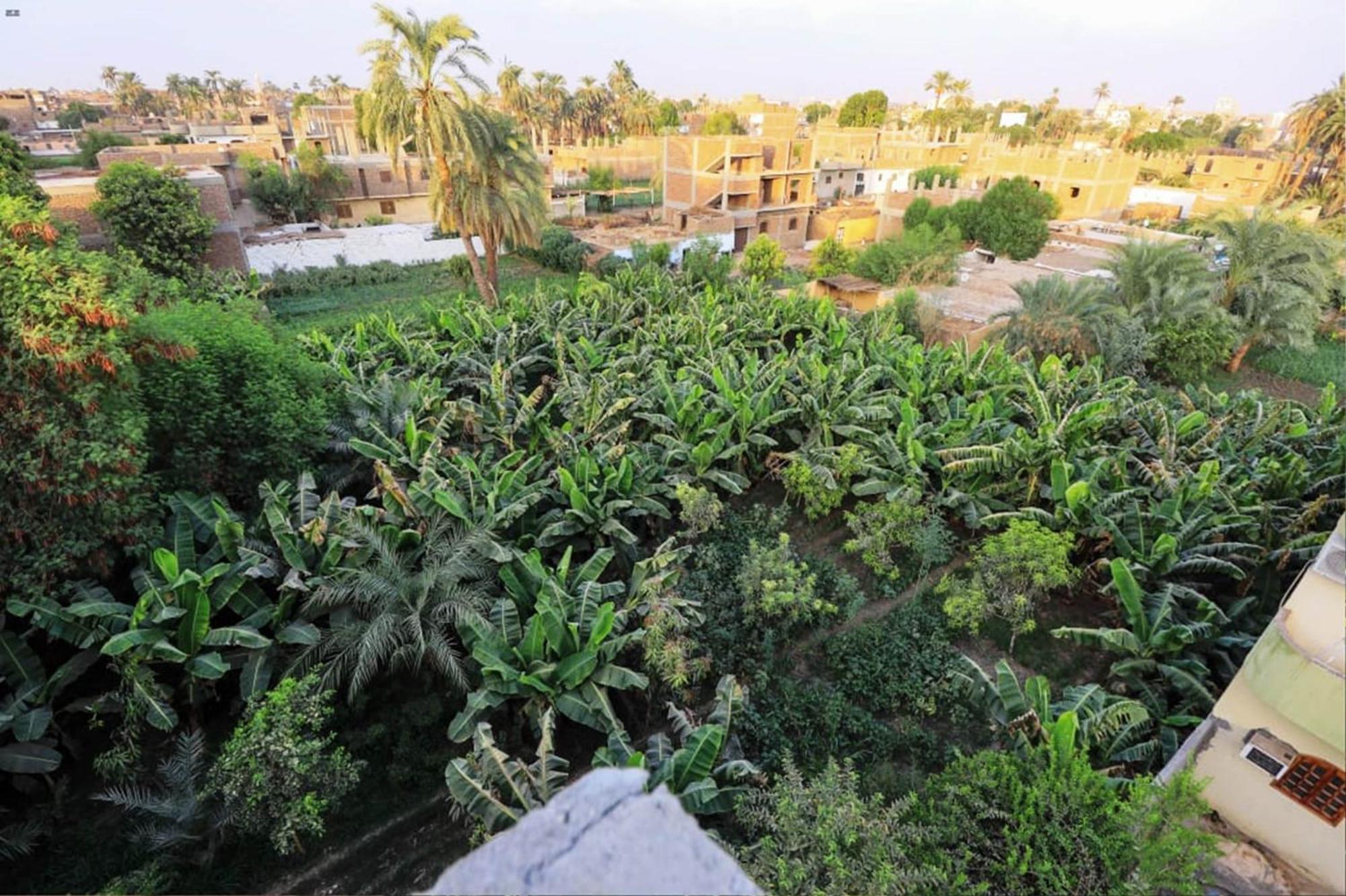Luxor View Hostel Екстер'єр фото