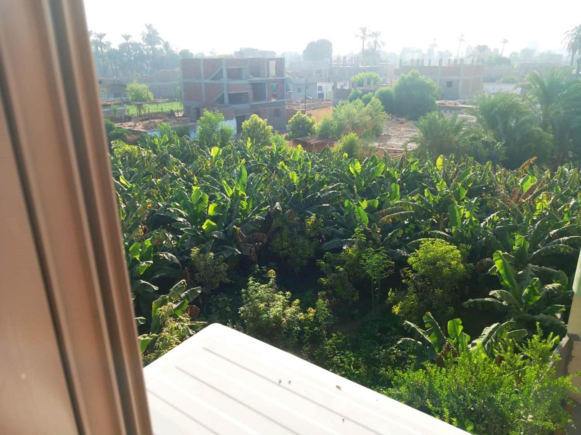Luxor View Hostel Екстер'єр фото