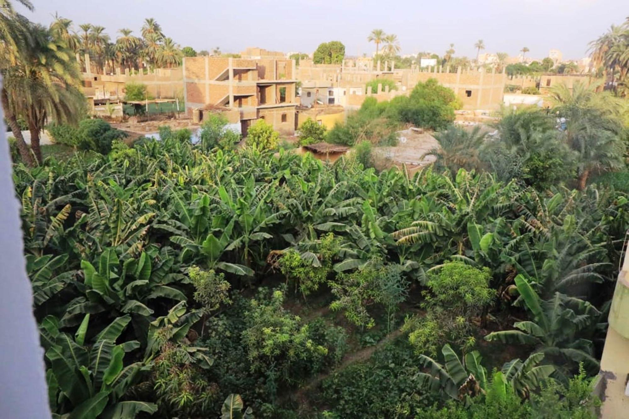 Luxor View Hostel Екстер'єр фото